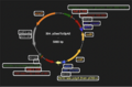 Thumbnail for version as of 17:50, 29 May 2025