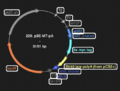 Thumbnail for version as of 18:16, 29 May 2025