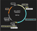 Thumbnail for version as of 17:35, 29 May 2025