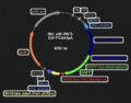 Thumbnail for version as of 18:30, 29 May 2025