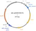 Thumbnail for version as of 18:06, 29 May 2025