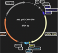 Thumbnail for version as of 18:40, 29 May 2025