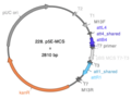 Thumbnail for version as of 18:47, 29 May 2025