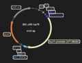 Thumbnail for version as of 18:42, 29 May 2025