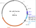Thumbnail for version as of 18:48, 29 May 2025
