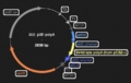 Thumbnail for version as of 18:14, 29 May 2025