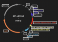 Thumbnail for version as of 18:45, 29 May 2025