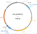 Thumbnail for version as of 17:59, 29 May 2025
